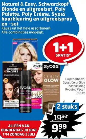 Trekpleister Natural & easy, schwarzkopf blonde en uitgroeiset, poly palette, poly creme, syoss haarkleuring en uitgroeispray en-set aanbieding