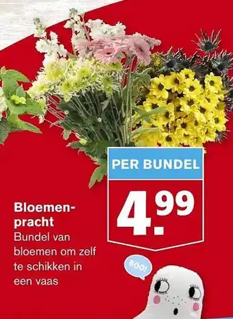 Hoogvliet Bloemen-pracht aanbieding