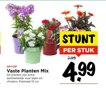 Vomar Voordeelmarkt Vaste Planten Mix aanbieding