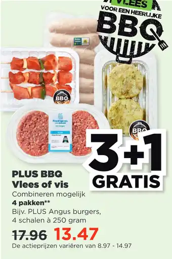 PLUS PLUS BBQ Vlees of vis aanbieding