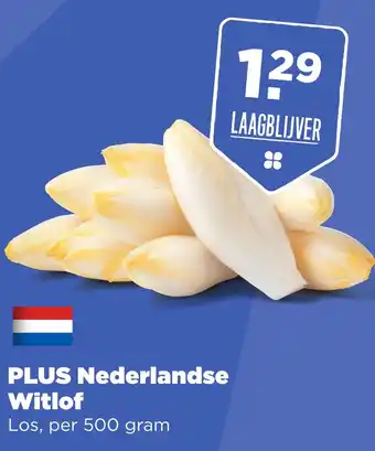 PLUS PLUS Nederlandse Witlof aanbieding