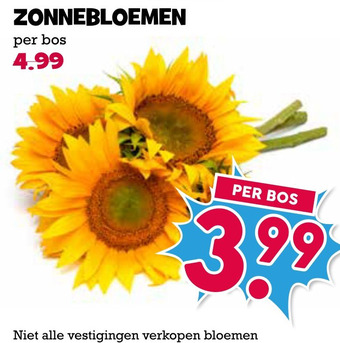 Boon`s Markt Zonnebloemen aanbieding