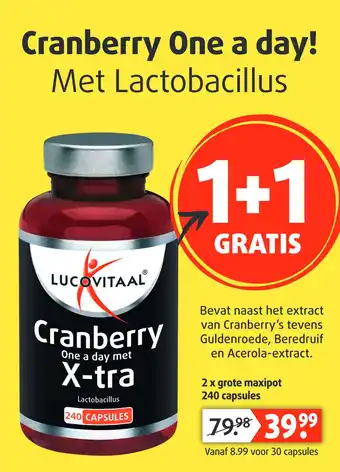 Lucovitaal Cranberry One a day! Met Lactobacillus aanbieding