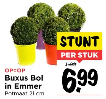 Vomar Voordeelmarkt Buxus Bol in Emmer aanbieding