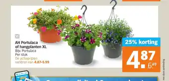 Albert Heijn Portulaca of hangplanten XL per stuk aanbieding