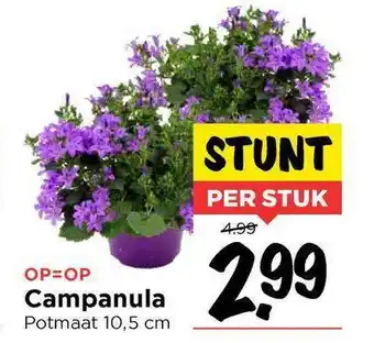 Vomar Voordeelmarkt Campanula aanbieding