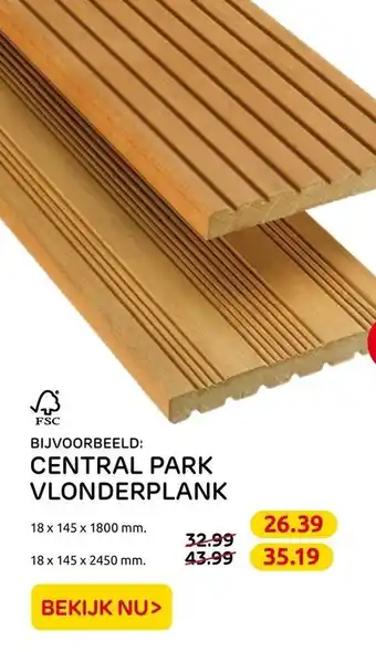 Praxis Central Park Vlonderplank aanbieding