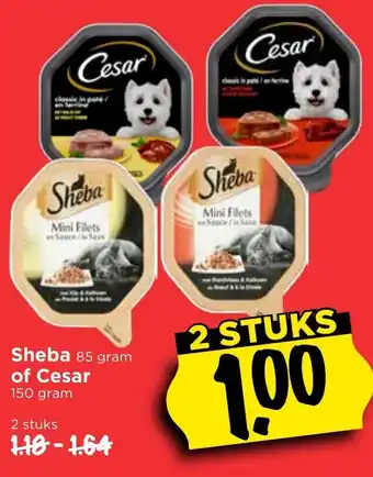 Vomar Voordeelmarkt Sheba of Cesar 85/150g aanbieding