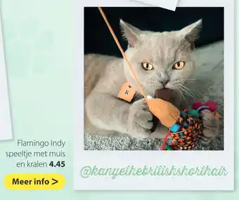 Pets Place Flamingo Indy speeltje met muis en kalen aanbieding
