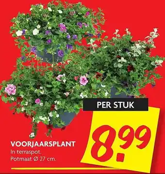 Dekamarkt Voorjaarsplant 27cm aanbieding