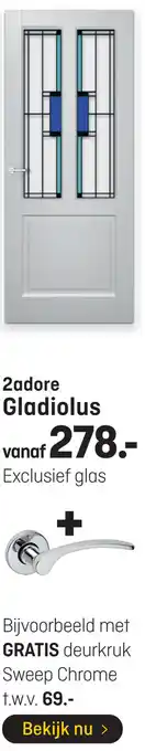 Hubo 2adore Gladiolus aanbieding