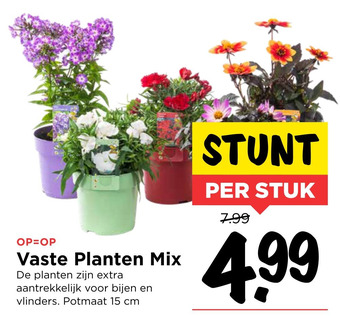 Vomar Voordeelmarkt Vaste Planten Mix aanbieding