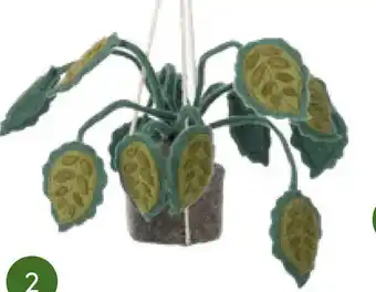 Baby & Tiener Hangplant big leaves aanbieding