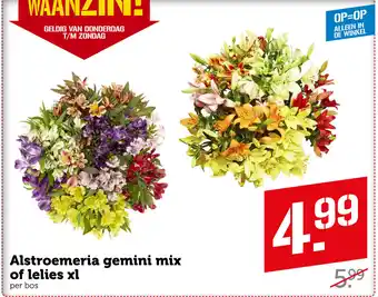 Coop Vandaag Alstroemeria gemini mix of lelies xl aanbieding