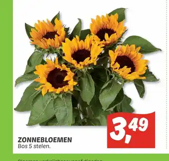 Dekamarkt Zonnebloemen Bos 5 stelen aanbieding