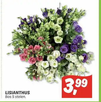 Dekamarkt Lisianthus Bos 5 stelen aanbieding