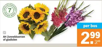 Albert Heijn AH Zonnebloemen of gladiolen aanbieding