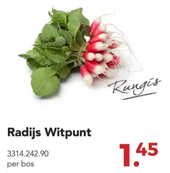 Zegro Radijs Witpunt aanbieding