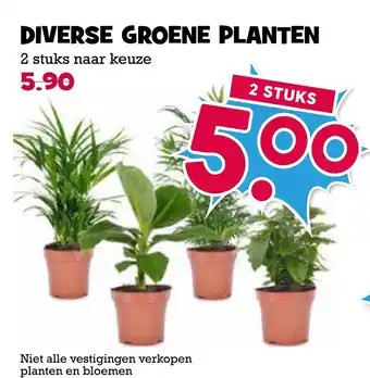 Boon`s Markt DIVERSE GROENE PLANTEN aanbieding