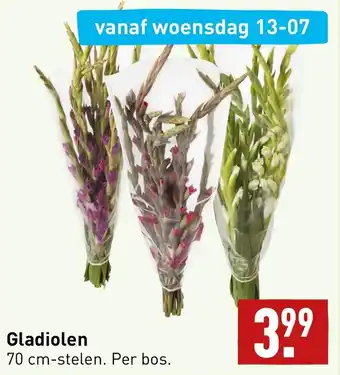 ALDI Gladiolen 70cm aanbieding