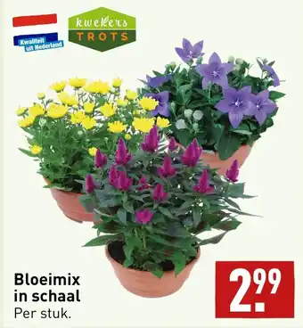 ALDI Bloeimix in schaal aanbieding