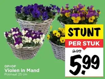 Vomar Voordeelmarkt Violen in Mand aanbieding