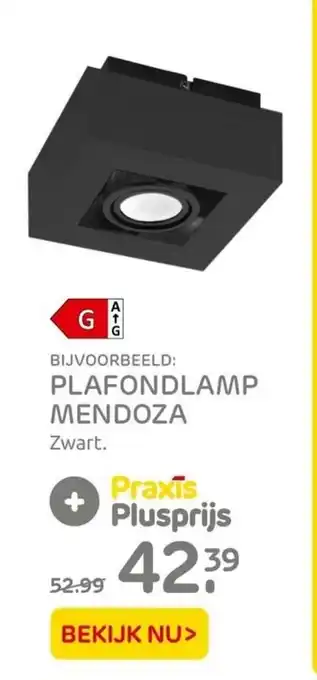 Praxis Plafondlamp mendoza aanbieding