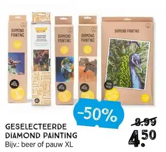 Xenos Geselecteerde Diamond Painting aanbieding