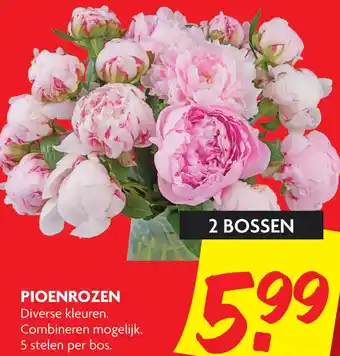 Dekamarkt Piqenrozen aanbieding