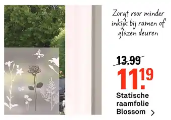 Karwei Statische raamfolie Blossom aanbieding