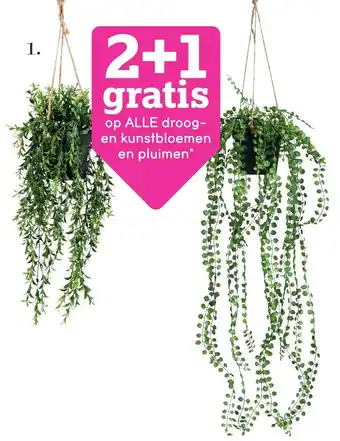 Leen Bakker Kunsthangplant Ficus pumila aanbieding