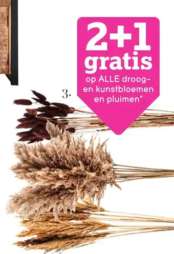 Leen Bakker Pampas pluim aanbieding