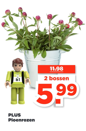 PLUS PLUS Pioenrozen aanbieding