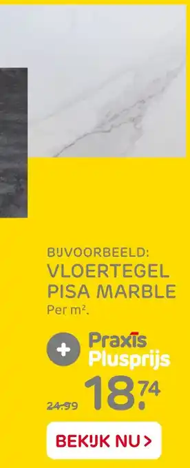 Praxis Vloertegel Pisa Marble aanbieding