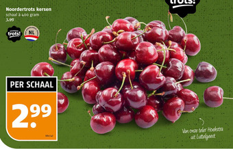 Poiesz Noordertrots kersen aanbieding