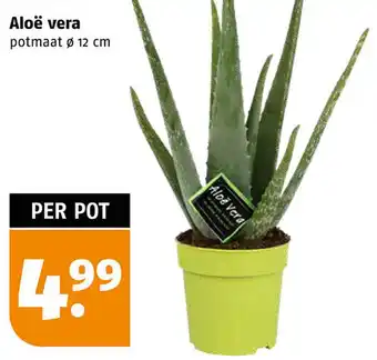 Poiesz Aloë vera aanbieding