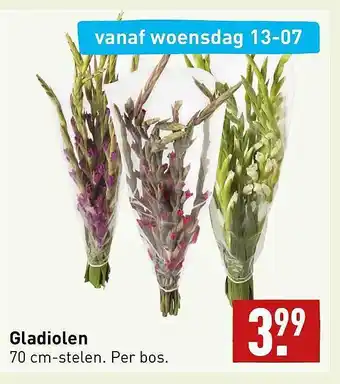 ALDI Gladiolen aanbieding