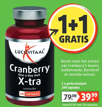 Lucovitaal Cranberry One a day aanbieding