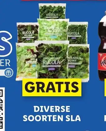 Lidl Gratis Diverse Soorten Sla aanbieding