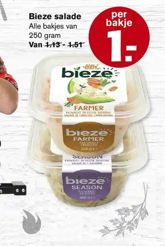 Hoogvliet Bieze Salade aanbieding