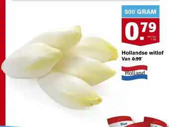 Hoogvliet Hollandse witlof 500 gr aanbieding