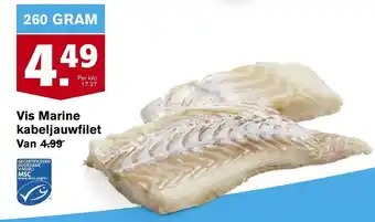 Hoogvliet Vismarine Marine kabeljauwfilet 260 gr aanbieding