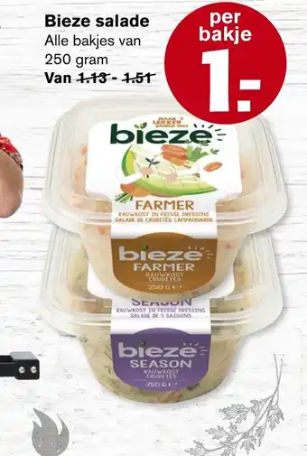 Hoogvliet Bieze salade 250 gr aanbieding