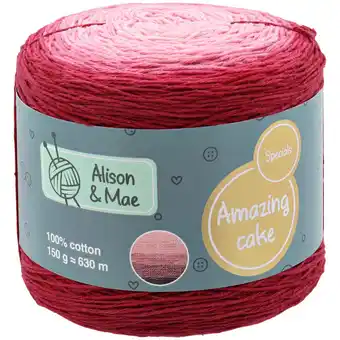 Action Alison & Mae breigaren Amazing Cake aanbieding