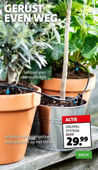 Intratuin Intratuin druppelsysteem Voor planten op het terras aanbieding