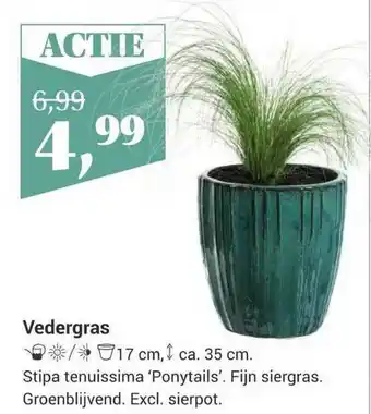 Tuincentrum Osdorp Vedergras aanbieding