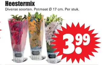 Dirk Heestermix 17 cm aanbieding