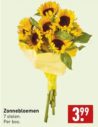 ALDI Zonnebloemen aanbieding