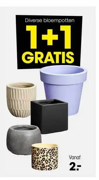 Kwantum Bloempotten 1+1 Gratis aanbieding