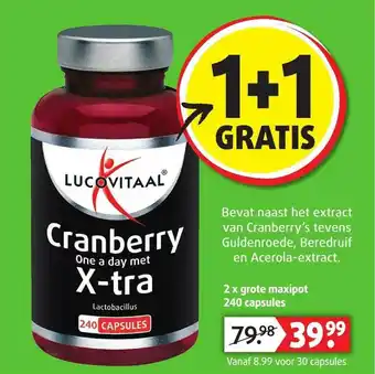 Lucovitaal Lucovitaal cranberry one a day met x-Tra  240 capsules aanbieding